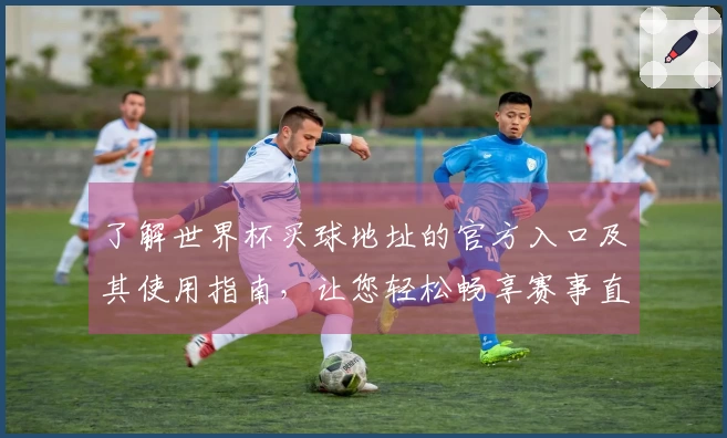 了解世界杯买球地址的官方入口及其使用指南，让您轻松畅享赛事直播体验