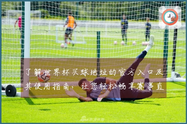 了解世界杯买球地址的官方入口及其使用指南，让您轻松畅享赛事直播体验