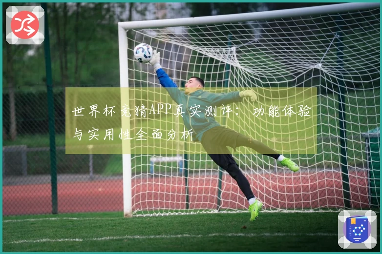 世界杯竞猜APP真实测评：功能体验与实用性全面分析