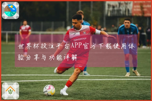 世界杯投注平台APP官方下载使用体验分享与功能详解