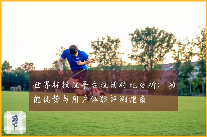 世界杯投注平台注册对比分析：功能优势与用户体验评测指南